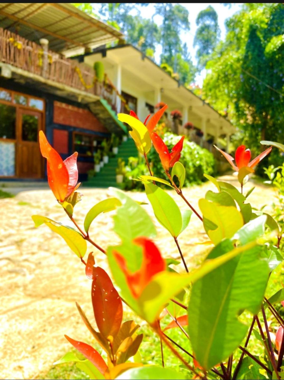 ホテル Blissful Haven エッラ エクステリア 写真